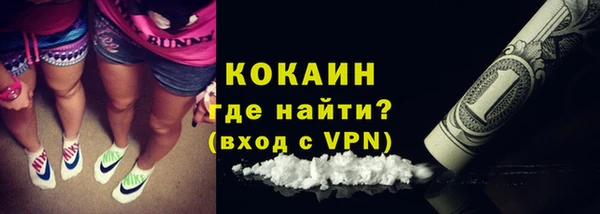 соль ск Белокуриха