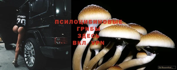 каннабис Белоозёрский