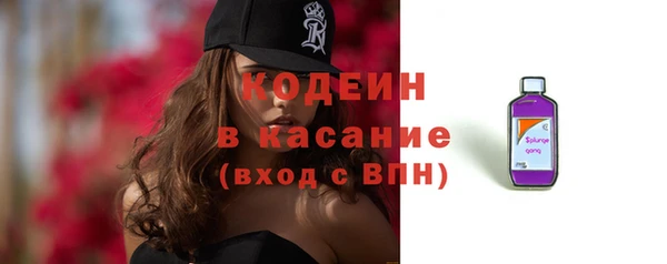 прущие грибы Анжеро-Судженск